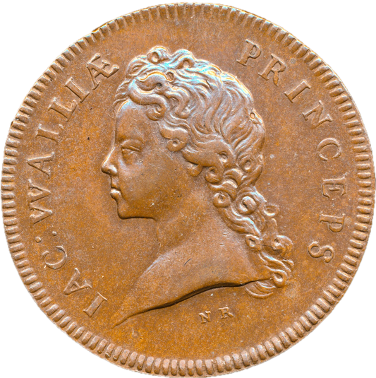 1697 Treaty of Ryswick, Fortunes of Prince James 25mm copper medal MI 194/503 E376