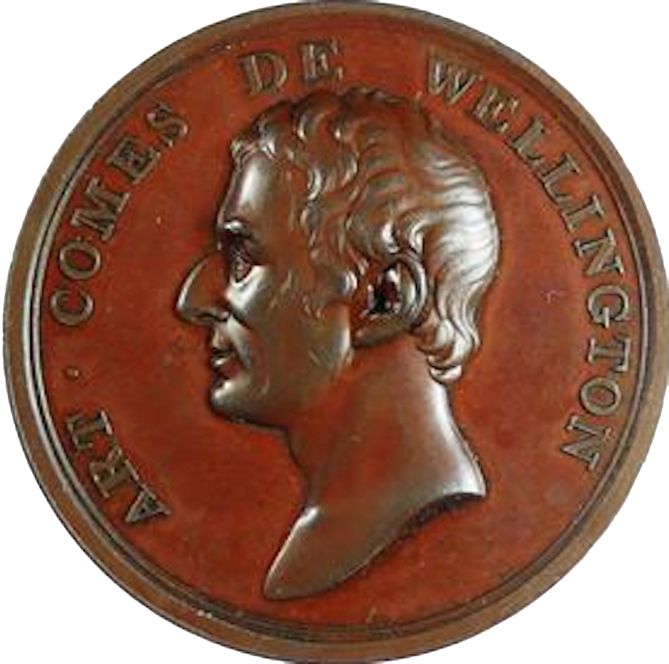 1812 Parliamentary thanks to Wellington Bronze medal 54mm BHM 746 EF