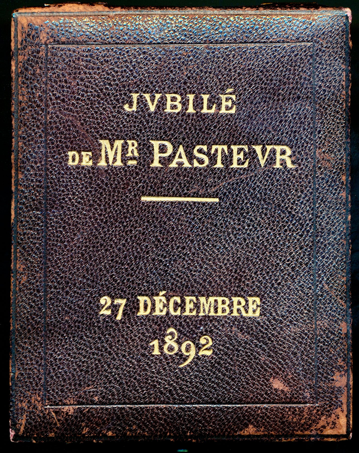 1892 FRANCE Louis Pasteur silvered bronze plaque 67.5*48.5mm in case by Oscar Roty