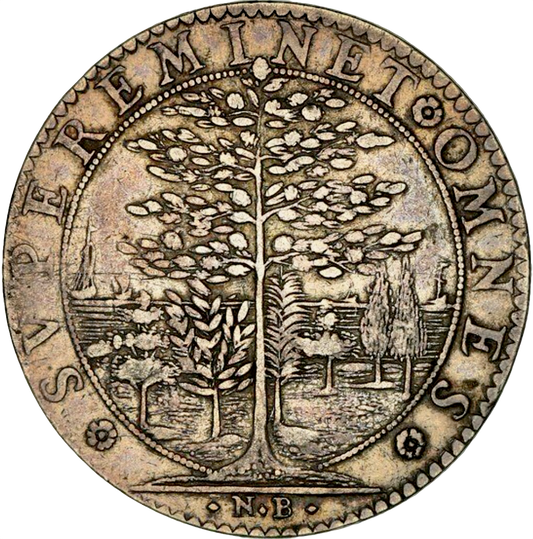 1628 Tribute to Henrietta Maria 28mm silver medal by N Briot MI 249/24 E110
