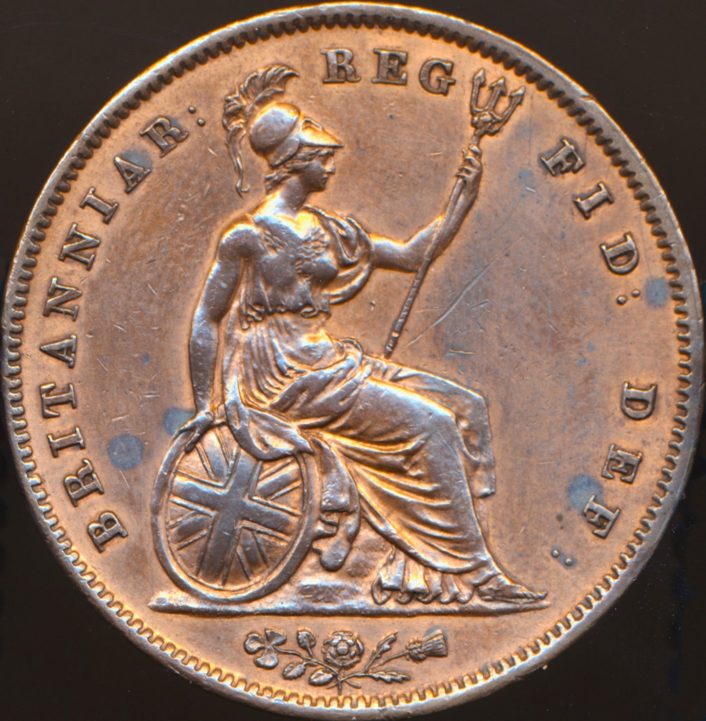 1841 Penny S3948 BMC 1484 No colon after REG AUNC