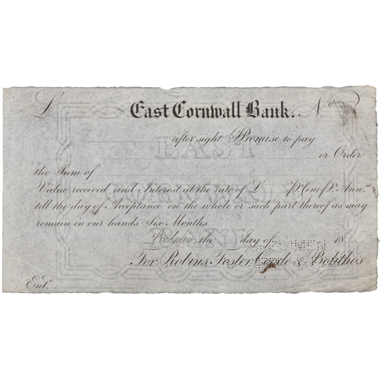 East Cornwall Bank Bodmin c1840 specimen sight bill Outing 1195