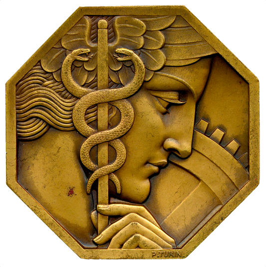 1885 FRANCE Comité français des expositions 71mm bronze medal by Turin