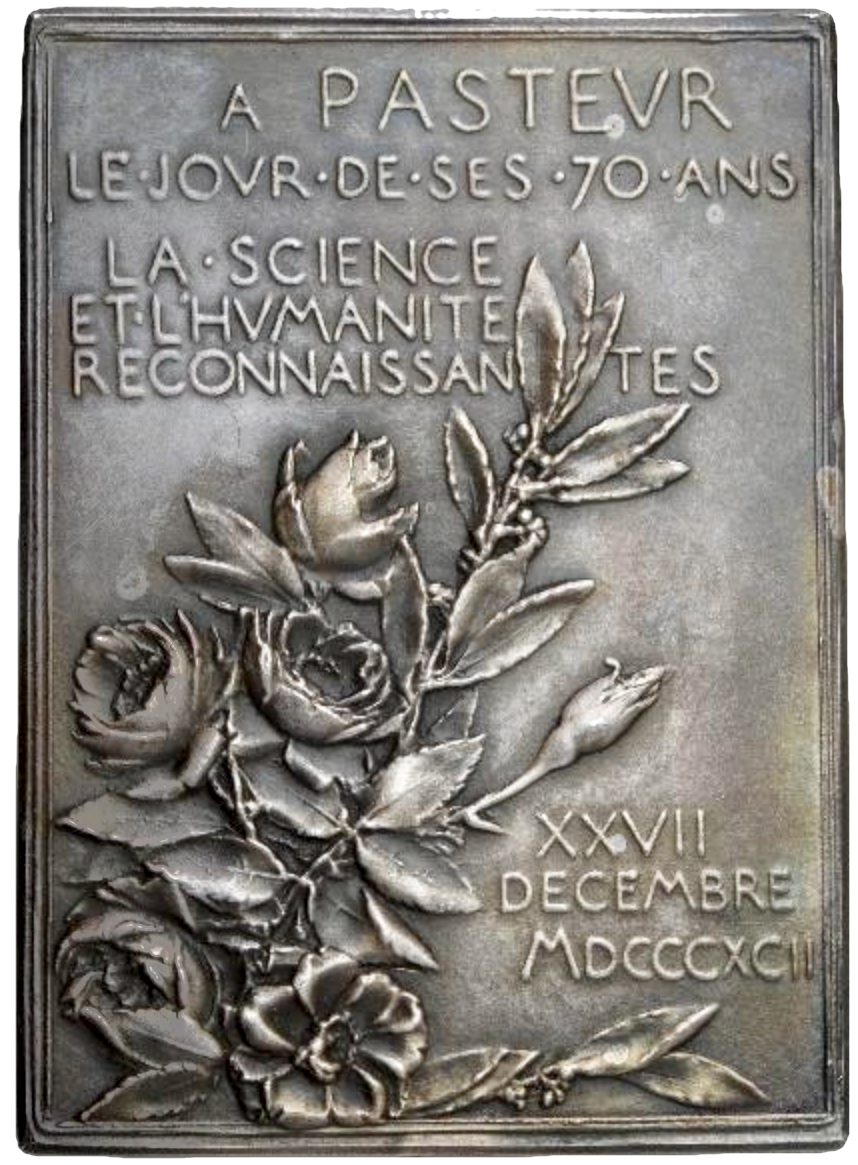 1892 FRANCE Louis Pasteur silvered bronze plaque 67.5*48.5mm in case by Oscar Roty